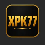 XPK77 logs in and win bonuses on a daily basis.